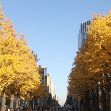 テラス前の黄葉も綺麗でした～