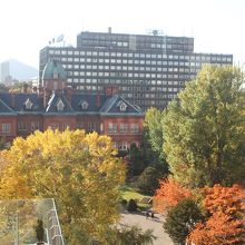 無料で｢赤れんが庁舎｣を眺められます。