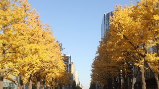 赤れんが庁舎を見下ろせるスポットもありますよ。