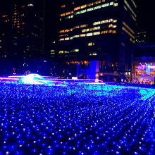 スターライトガーデン