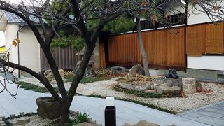 きれいな庭と猫