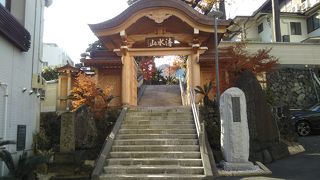 綺麗な山門