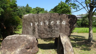 一年を通じて７４種類のトンボを見ることができる・・・