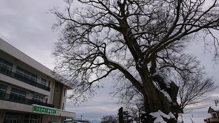 小学校の敷地内