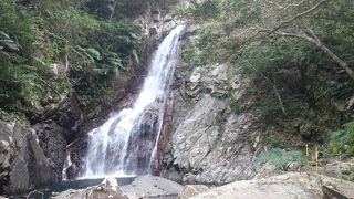 自然豊かな場所でした