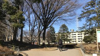 いろいろ遊べます