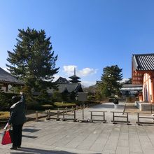 大宝蔵院前から五重塔を望む