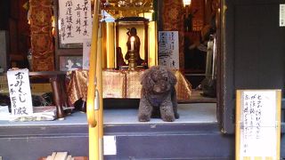 東海七福神・寿老人