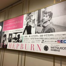 麗しのオードリー