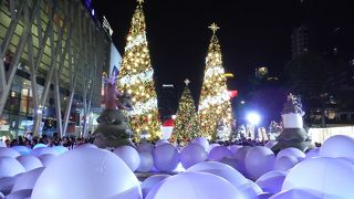 クリスマスの飾りつけ