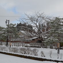 雪に耐える木々