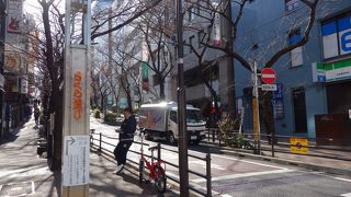 春には桜がきれいな通りです