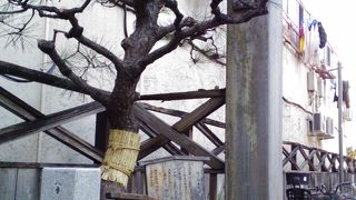 旧東海道の面影を残しています