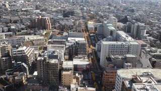 イチョウ並木がきれいに見えました