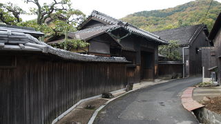 散策してみました