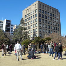 正月らしく餅つき大会が開催中
