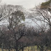 枚方市内と淀川が高台から望める。