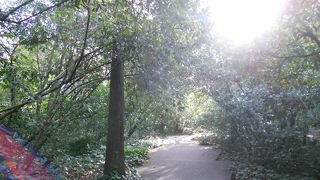 緑たっぷりで癒されました♪