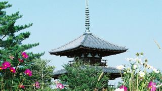 法隆寺から散策も兼ねて