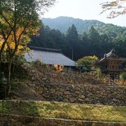 車で寺を目指していたら