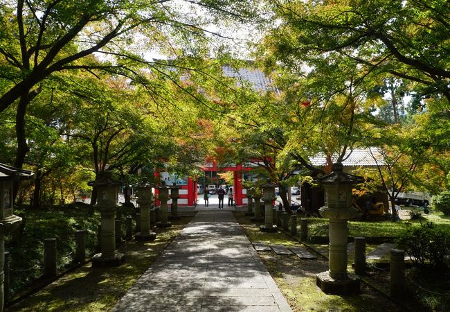 本堂まで紅葉の参道が続きます