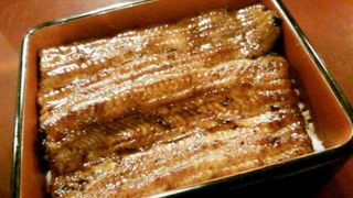 ふわふわのうなぎ