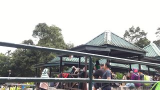 地元の観光客でいっぱい！