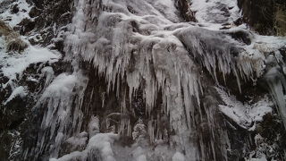 一本松公園(昭和の森)
