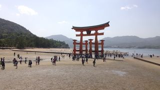 潮が引いていると鳥居をくぐれます。