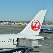 飛行機が間近に見られます