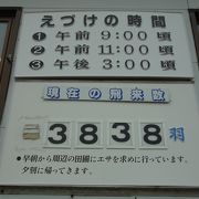 白鳥について学べるだけでなく