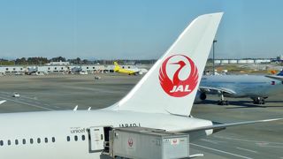 飛行機が間近に見られます