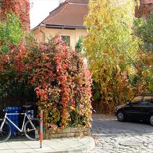 脇道に並ぶ民家の風情もよく…、