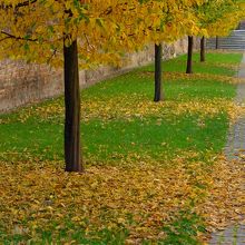 …10月下旬近くには、秋景色も楽しめました。