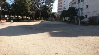 たくさんの子供が遊んでいます