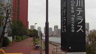 よく整備され羨ましい散歩道。