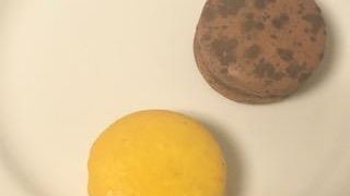 女子の手みやげにおすすめ