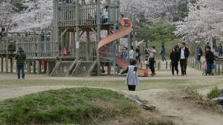 桜がキレイな公園です