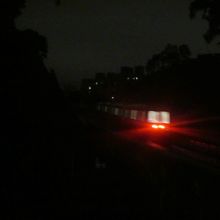 夜に撮ると、何が何だかよく解らない…