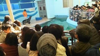 狭さが何とかなれば