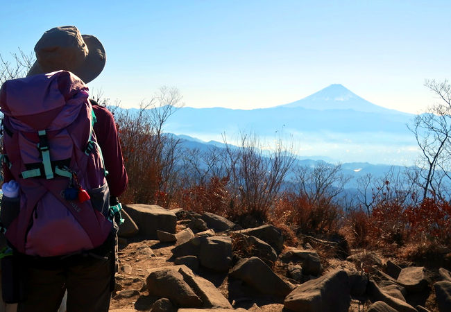 富士と南アと八ヶ岳を展望