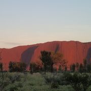 登山はいたしません