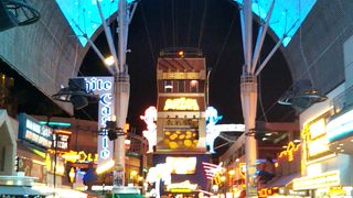 ずっと見上げていると首が痛くなります