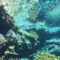 人生で一度は行っておきたい水族館のひとつ