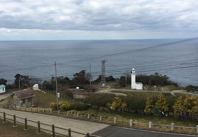 水仙はどこ