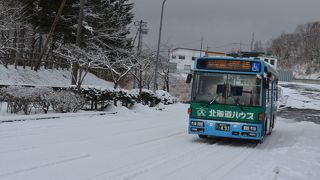 五稜郭経由でトラピスチヌ修道院に行く路線があります