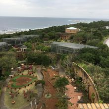 タワーから眺め