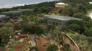 すごく手入れされています