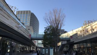 蔦屋の中で一番のお気に入り