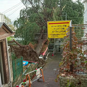 異人館街散策に便利な坂道です